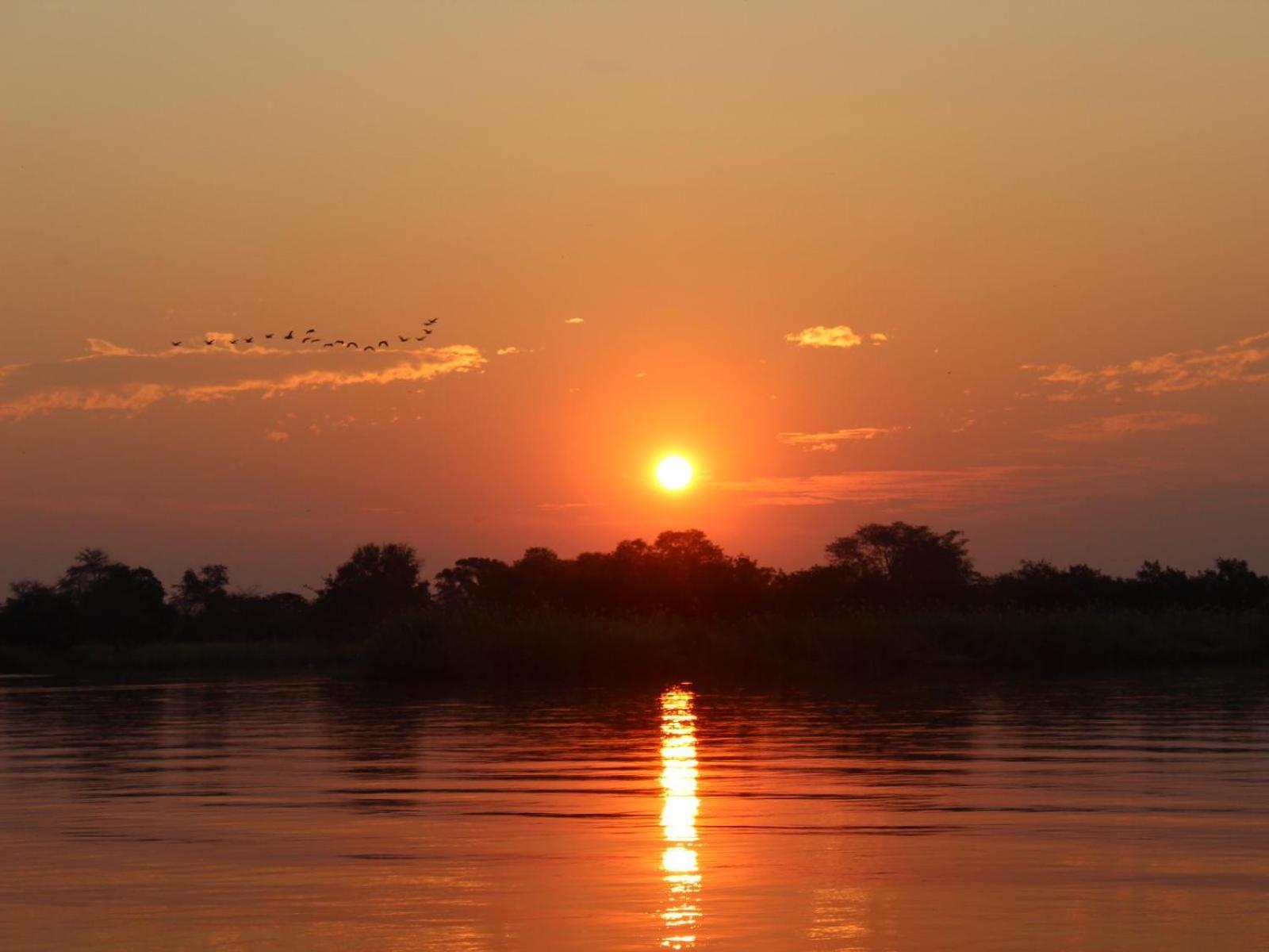 Ndhovu Safari Lodge Mahango Eksteriør billede