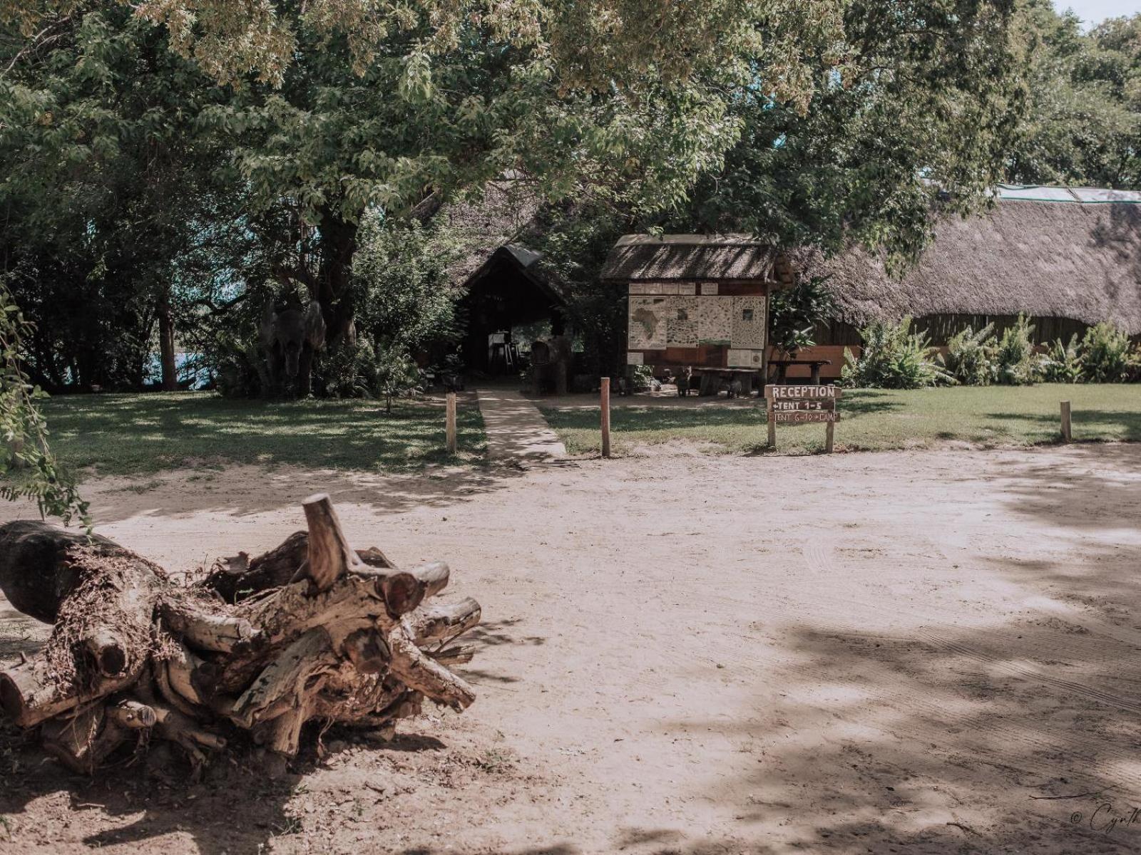 Ndhovu Safari Lodge Mahango Eksteriør billede